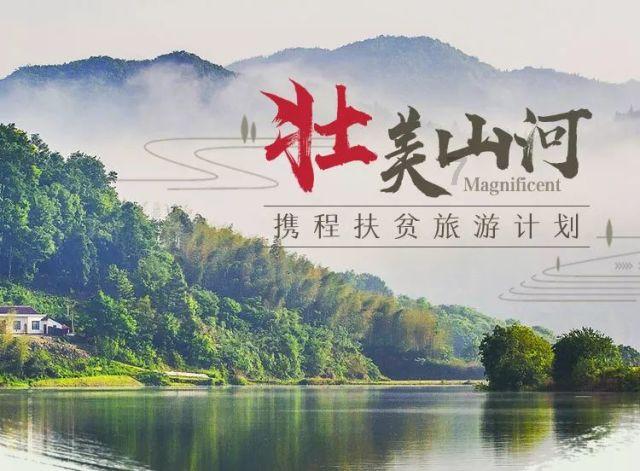 奔跑的兔子